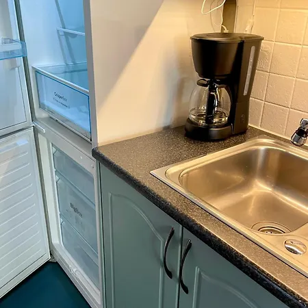 Sentral Og Fargerik Bygardsleilighet * ハルデン