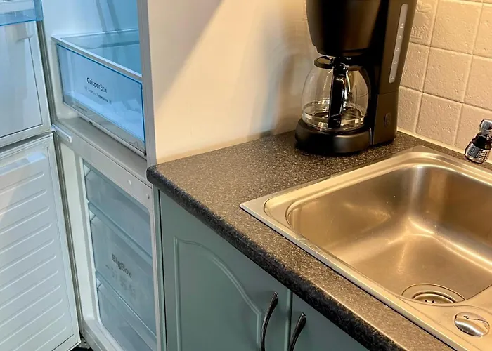 Sentral Og Fargerik Bygardsleilighet * Halden